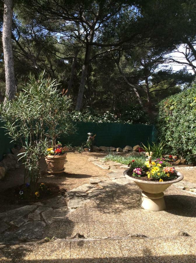 T2 Rez De Jardin 300M Plage De Beaucours Sanary Sur Mer Eksteriør bilde