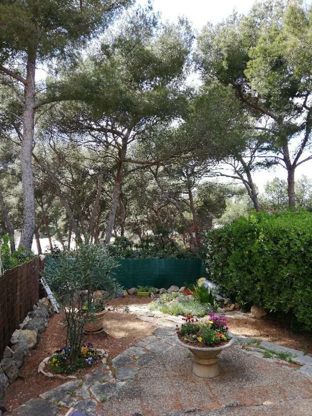 T2 Rez De Jardin 300M Plage De Beaucours Sanary Sur Mer Eksteriør bilde